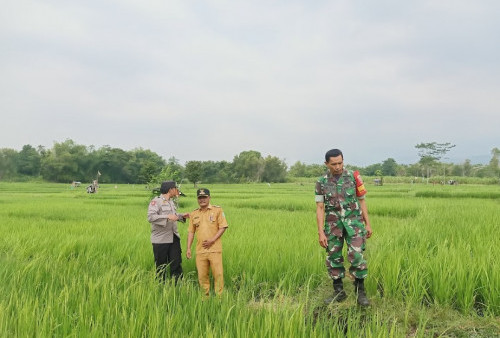 Anugerah Patriot Jawi Wetan II : Tiga Desa Terbaik Dari Kabupaten Pasuruan