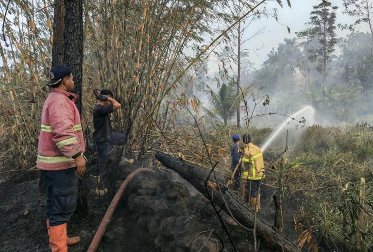 Karhutla Terjadi di Jateng, 8,7 Hektare Lahan Ludes Dilalap Api