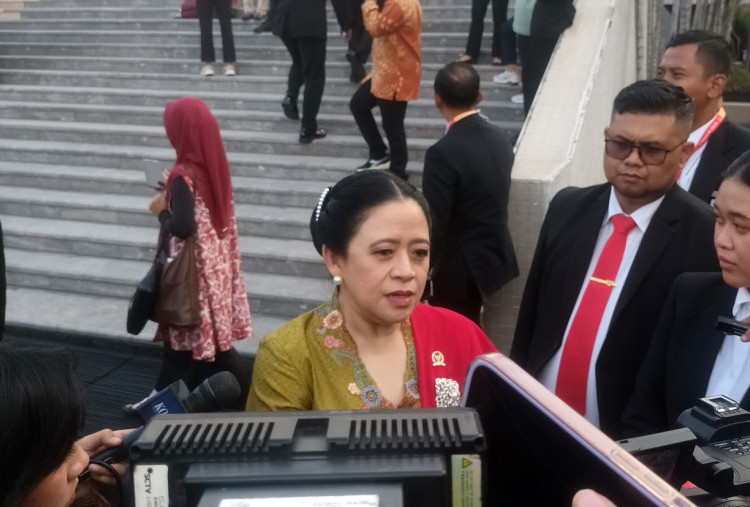 Puan Soroti Pengangkatan Wamen Jadi Komisaris di Tengah Wacana Penghapusan