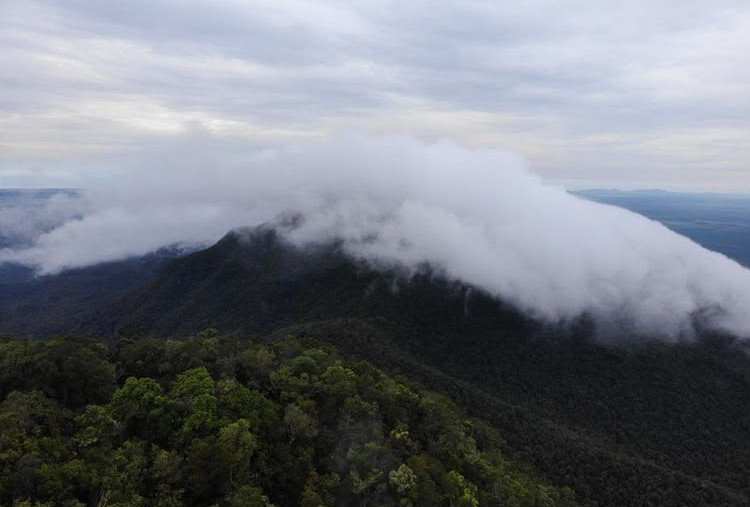 Satu Dekade Taman Nasional Gunung Maras, Benteng Konservasi dan Rumah Satwa Endemik Bangka Belitung