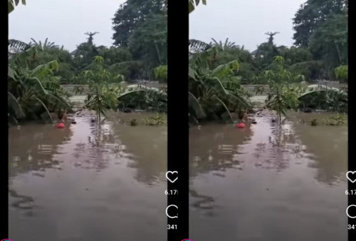 Hujan Deras Semalaman, Perkampungan di Bantaran Kali Bekasi Terendam Banjir