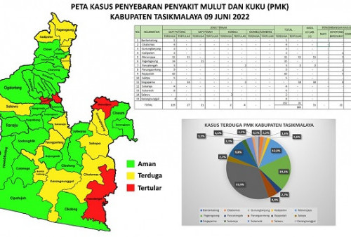Kecamatan Pancatengah, Manonjaya dan Singaparna Masih Zona Merah Penularan Penyakit Mulut dan Kuku Hewan 