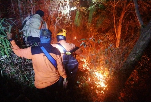 Karhutla di Gunung Ciremai: Angin Menyulitkan Proses Pemadaman