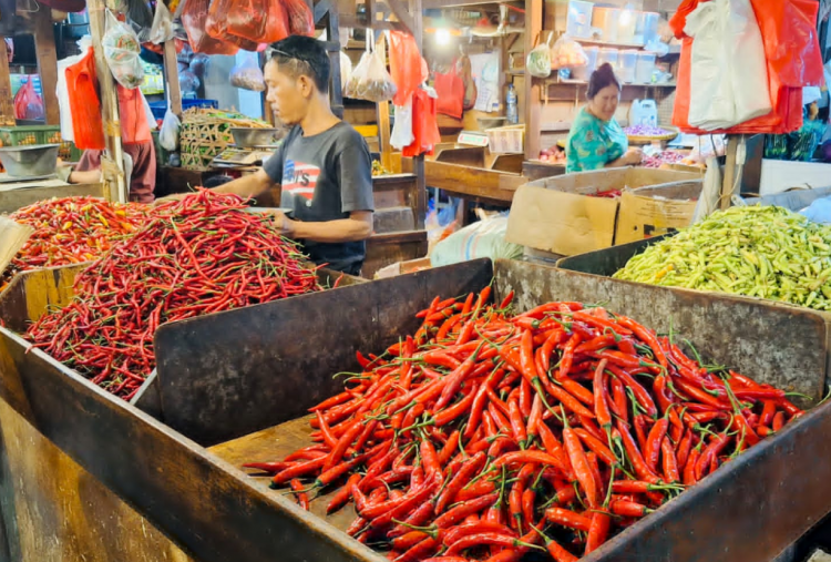 Harga Cabai Merah Keriting di Jakarta Melambung, Tembus Rp66.954 Per Kg