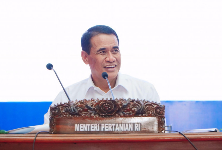 Stok Beras RI Aman 11 Bulan, Mentan: El Nino 2025 Masih Lebih Ringan dari 2015