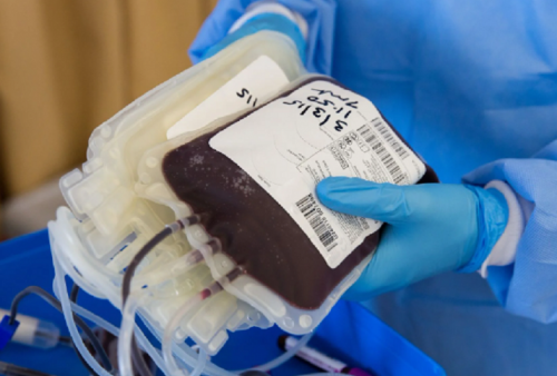 Yuk Rutin Donor Darah, Intip Manfaat Kesehatannya di Sini