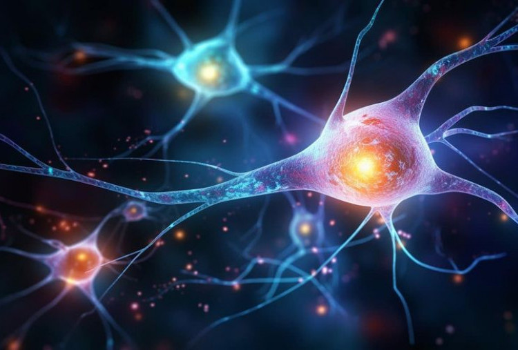 Manfaat Dopamine Detox untuk Gaya Hidup yang Seimbang