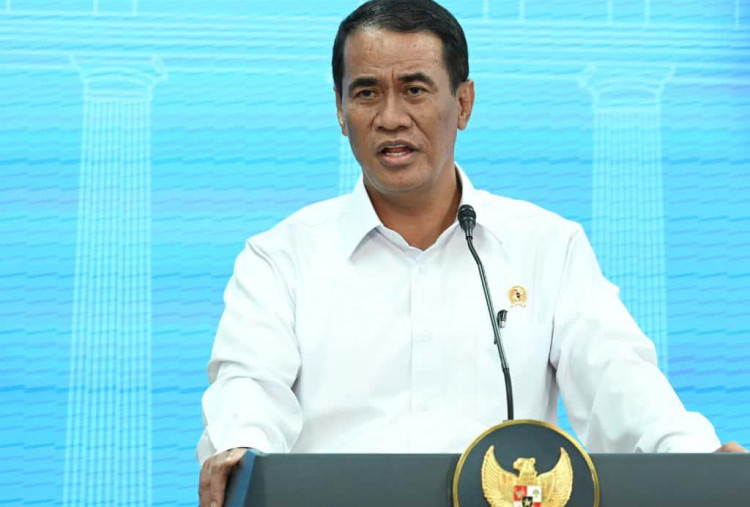 Hilirisasi Kelapa Andalan Baru Devisa Negara, Indonesia Jadi Pusat Industri Skala Global
