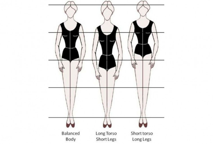 Mengenal Long Torso, Ideal, dan Short Torso
