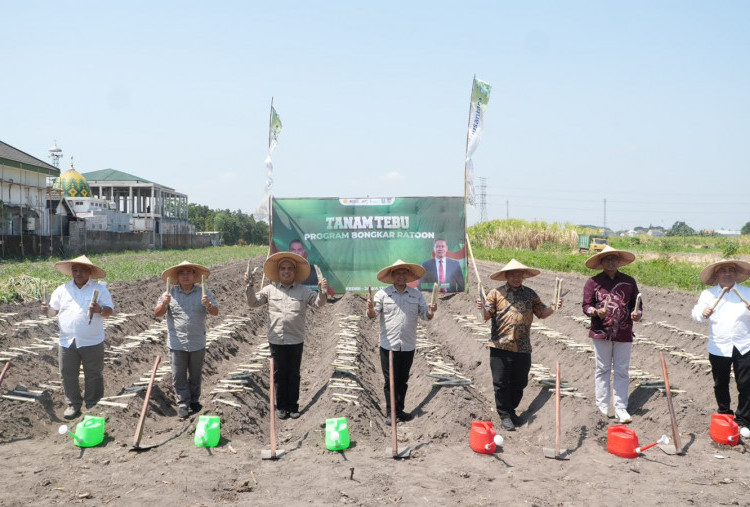 Kementan dan PT SGN Berkolaborasi Tingkatkan Produktivitas Tebu Kediri Lewat Bongkar Ratoon