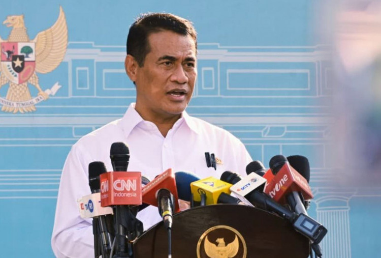 Hadapi El Nino Godzilla, Mentan: Stok Pangan Aman 10 Bulan