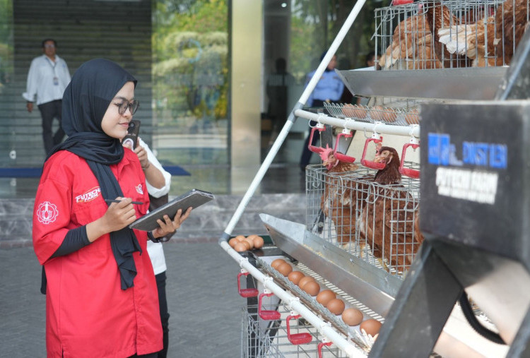 Beternak Ayam Lebih Efektif Dengan Futechi Farm, ITS Transformasikan Sistem Peternakan Modern