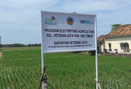 Listrik Masuk Sawah Bantu Perekonomian Petani Meningkat