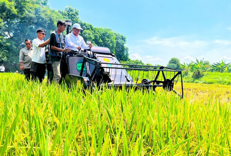 Meski El Nino, BPS Sebut Produksi Padi Nasional Naik 0,07 Persen