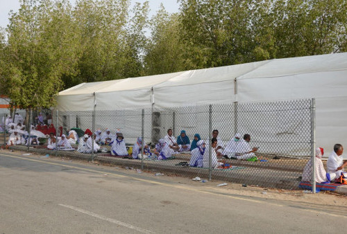 Jamaah Haji Wanita Disarankan Pakai Diaper saat Wukuf: Demi Kebersihan dan Kenyamanan