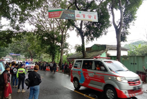 Puluhan Korban Luka-Luka Bus Masuk Jurang Telah Dibawa Pulang ke Sumedang-Bandung Menggunakan 14 Ambulans