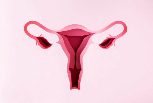 4 Makanan Penyebab Kista Ovarium yang Jarang Diketahui, Perempuan Harus Hati-hati
