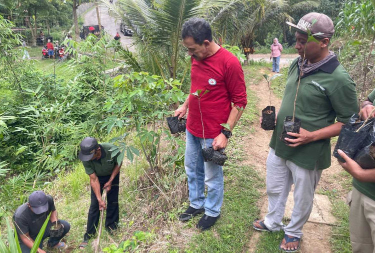 Bertahap sejak September, Ketua DPRD Tulungagung Marsono Distribusikan 50 Ribu Bibit Kopi