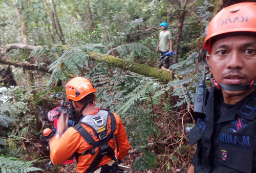 Tim SAR Bakal Tebang Pohon Demi Mudahkan Proses Evakuasi Helikopter Kapolda Jambi