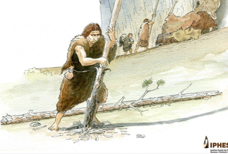 Neanderthal Ternyata Mahir Mengolah Kayu, Temuan Baru Ungkap Kehidupan 62.000 Tahun Lalu