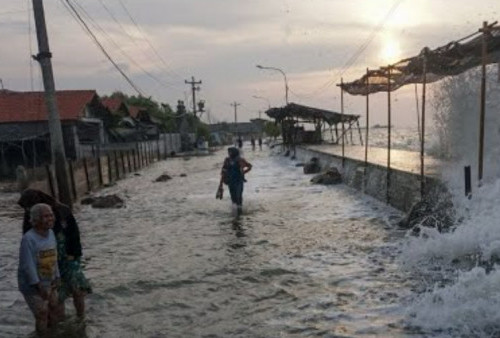 Waspada Potensi Banjir Rob di Pesisir Banten, Jakarta dan Jawa Tengah