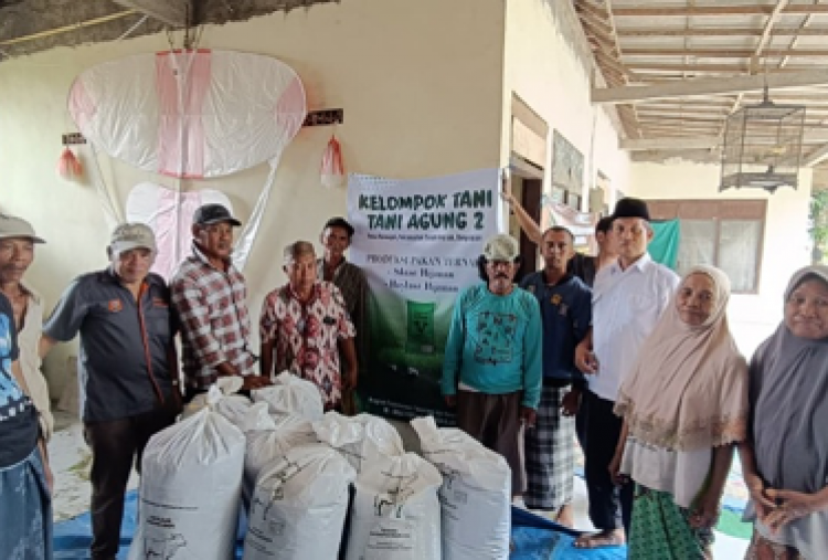 Tim UB Ciptakan Pakan Sapi Berkualitas dari Limbah Pertanian untuk Peternak Madura