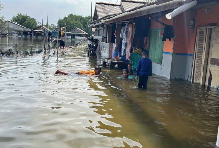 Fenomena Perigee di Januari, Wilayah Pesisir Ini Rawan Terdampak Banjir 