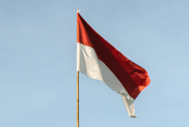 Kapan Pendaftaran Upacara 17 Agustus 2025 di Istana Negara Buka? Cek Informasinya di Sini Agar Tidak Terlewat