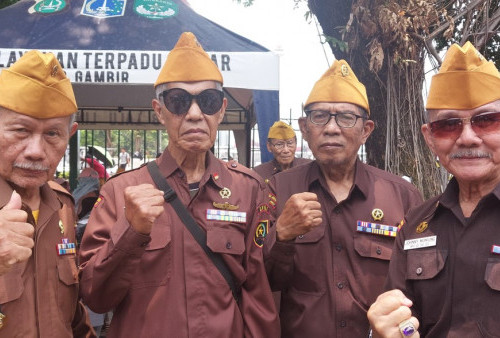 Veteran: HUT ke-79 TNI Jadi Kado Kehormatan untuk Jokowi