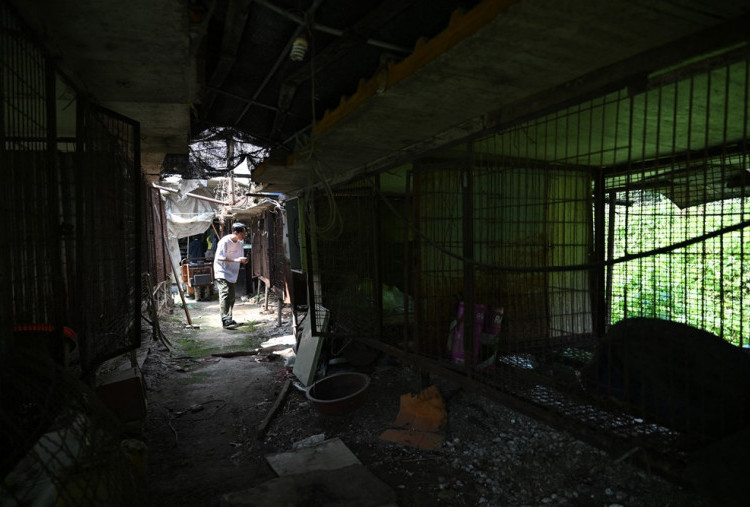 Rumah ’’Pembantaian Anjing’’ di Korsel yang Lenyap Kena Aturan Anyar, Tak Ada Lagi Mitos Soal Stamina