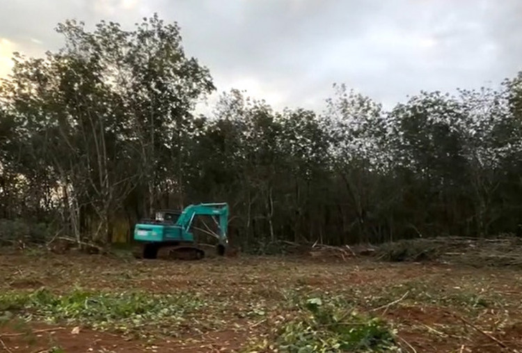 PTPN Siapkan Lahan Huntara di Sumut dan Aceh, Relokasi Warga Banjir Dipacu