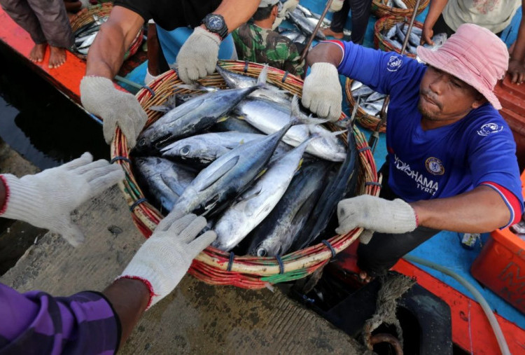3 Hal Ini Bikin Potensi Perikanan di Natuna Belum Optimal 