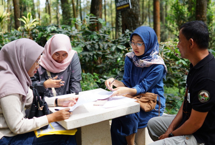 Kopi Lereng Bromo: Menjaga Alam, Menghidupi Desa