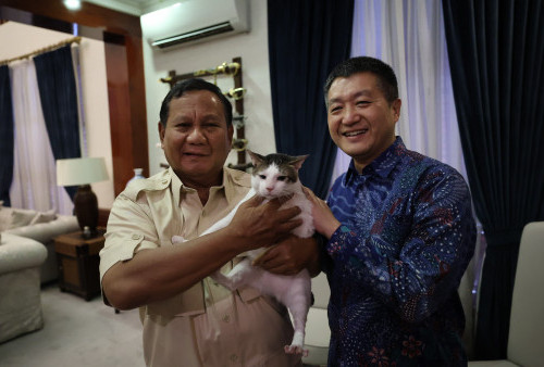 Prabowo Terima Kunjungan Dubes Tiongkok Ditemani Kucing 