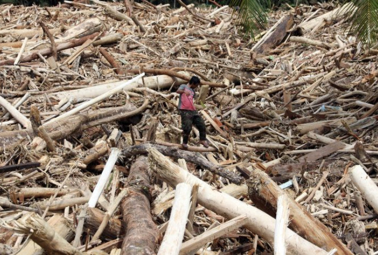 Kemenhut Usut 12 Korporasi hingga Perorangan Pemicu Banjir Sumatera, Diduga Ada 'Operasi Gelap' di Hulu DAS