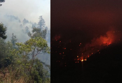 Kebakaran Lahan Gunung Merbabu Dikhawatirkan Meluas hingga Magelang 