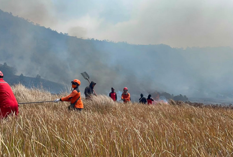 Akses Wisata Bromo Ditutup Akibat Kebakaran Hutan 60 Hektare, Helikopter Bombing Dikerahkan