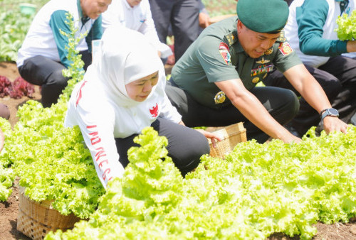 Khofifah dan Pangdivif 2 Kostrad Malang Tanam Pohon di Lahan TNI: Bisa Jadi Contoh Pemanfaatan Lahan Tidur