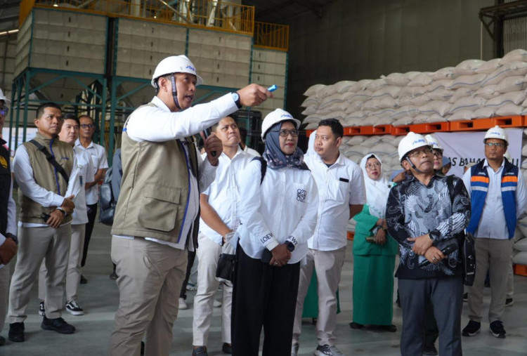 BULOG Cetak Rekor Pengadaan 4,13 Juta Ton, Jawa Timur Sumbang 23,7 Persen Nasional