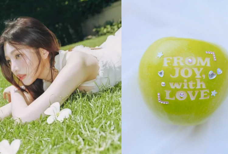 Hello Summer! Joy Red Velvet Siap Comeback Solo Lewat Mini Album From JOY, With Love 