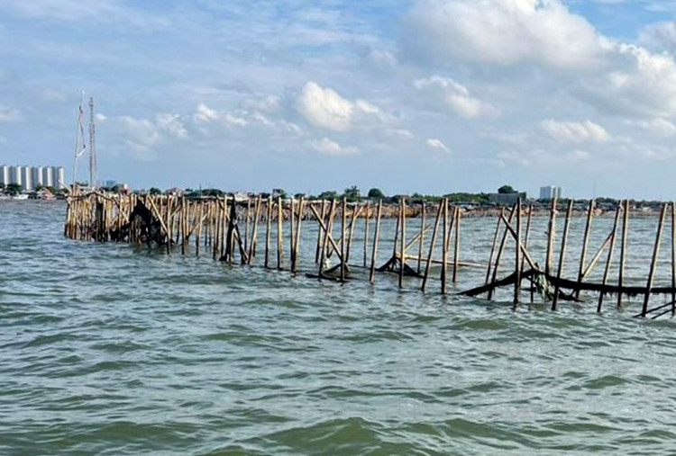 Guru Besar Hukum Pidana Angkat Bicara Soal Polemik Pagar Laut Misterius