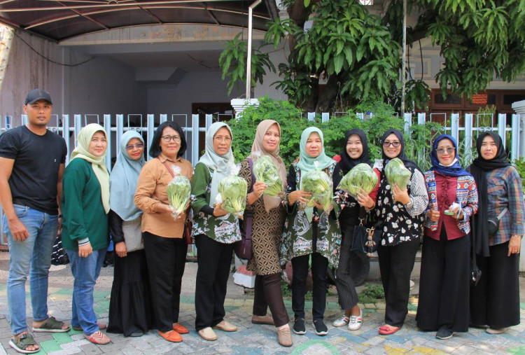 Pemkot Surabaya Kembangkan Kampung Sayur di 31 Kecamatan, Ditanam Dengan Metode Hidroponik