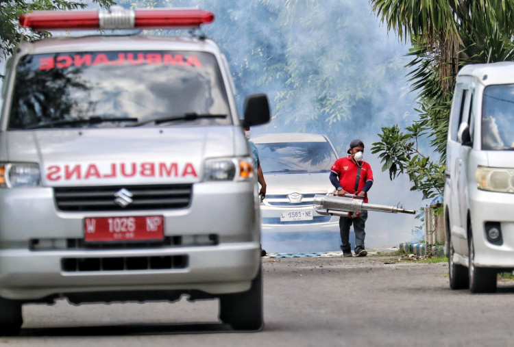 Dinkes Sidoarjo Ajak Warga Lebih Waspada DBD setelah Pasien Anak Meninggal Dunia