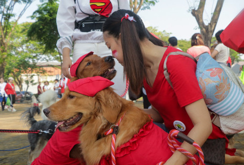 Pawjoeang 2023 : Ajang Jalan-jalan dan Lomba untuk Pecinta Anjing