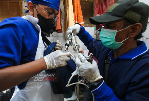 Dinas Ketahanan Pangan dan Pertanian Kota Surabaya melakukan vaksinasi penyakit mulut dan kuku (PMK) kepada sapi perah yang sehat yang ada di Kelurahan Bendul Merisi dan Kelurahan Jemur Wonosari, Kecamatan Wonocolo, Surabaya, Jawa Timur, Sabtu 25 Juni 2022. Proses vaksinnasi pada sapi tersebut dilakukan untuk mencegah penyebaran wabah PMK. Pemkot Surabaya melakukan tahap pertama vaksin PMK pada hewan sapi ini telah menerima 600 dosis vaksin dari Pemrov Jatim. Untuk tahap ini, penyuntikan akan dilakukan hingga 7 Juli 2022 mendatang.

