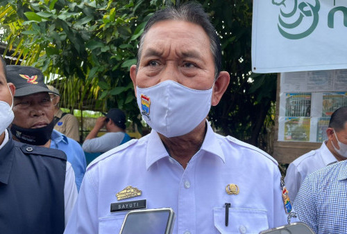 3.000 Sapi di Palembang Sudah Dapat Keterangan Sehat