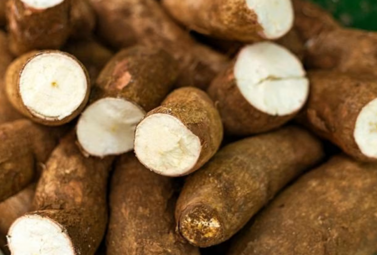 5 Olahan Singkong Kekinian yang Cocok untuk Ide Jualan, Modal Kecil Untung Besar