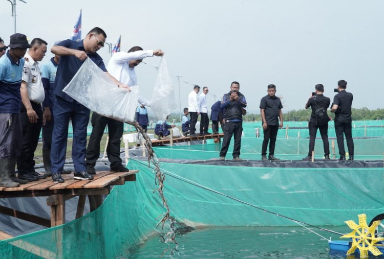 Menteri Imipas Ajak Komisi XIII DPR RI Tinjau Pembangunan Tambak Sidat di Nusakambangan