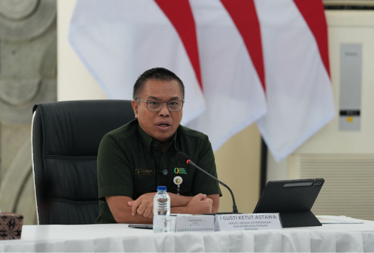Stok Pangan Nasional RI Surplus, Pemerintah Bidik Swasembada 8 Pangan Strategis di 2026