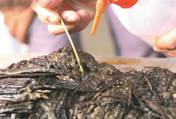 Penemuan Naskah Lengkap Tertua Kitab Lagu dari Dinasti Qin-Han di Nanchang, Tiongkok, Gegerkan Dunia Arkeologi